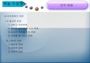 백화점 산업 조직 비교분석  27페이지