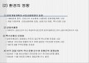 국민·우리·신한 은행의 조직 이해   22페이지