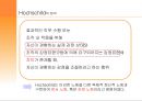 정서노동  4페이지