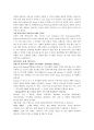 다음(daum) [포탈 서비스 경쟁시장] 11페이지