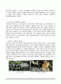 나이키(Nike) vs 아디다스(Adidas) 마케팅전략 비교분석 및 나이키와 아디다스 마케팅 성공, 실패사례 분 14페이지