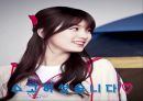닭의 배 발생 과정.ppt 17페이지