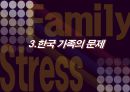 가족 스트레스  15페이지