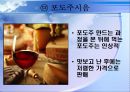 [관광축제론] 안성주말포도농장 기획안 14페이지