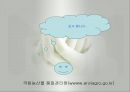친환경농산물급식지원(친환경농산물이란, 친환경의효과, 친환경농산물학교급식, 일반농산물과차이, 친환경농산물재배법) PPT, 파워포인트 발표 11페이지