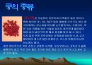 콩에대하여 식생활과문화특론, 유래, 영양, 가공,종류, 콩다이어트, 효능PPT, 파워포인트 발표,콩의 효능 7페이지