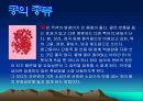 콩에대하여 식생활과문화특론, 유래, 영양, 가공,종류, 콩다이어트, 효능PPT, 파워포인트 발표,콩의 효능 9페이지
