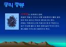 콩에대하여 식생활과문화특론, 유래, 영양, 가공,종류, 콩다이어트, 효능PPT, 파워포인트 발표,콩의 효능 12페이지