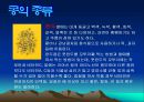 콩에대하여 식생활과문화특론, 유래, 영양, 가공,종류, 콩다이어트, 효능PPT, 파워포인트 발표,콩의 효능 13페이지