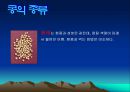 콩에대하여 식생활과문화특론, 유래, 영양, 가공,종류, 콩다이어트, 효능PPT, 파워포인트 발표,콩의 효능 15페이지