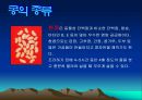 콩에대하여 식생활과문화특론, 유래, 영양, 가공,종류, 콩다이어트, 효능PPT, 파워포인트 발표,콩의 효능 16페이지