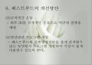 패스트푸드섭취로 인한 영양문제(최신영양문제, 패스트푸드의발전, 패스트푸드영양문제, 패스트푸드과다섭취와 질병) PPT, 파워포인트 13페이지