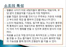 [미술치료] 기타 미술치료기법에 의한 사례연구 - 데칼코마니, 조소, 소조(소조의 특성과 효과), 꼴라주, 푸드아트 테라피, 9분할법.PPT자료 5페이지