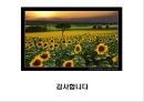 [미술치료] KFD의 실시와 해석(동적 가족화의 진단과 이해).PPT자료 6페이지