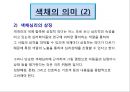 미술치료, 색채심리, 색채의 의미와 유아동의 색채심리.PPT자료,연구 3페이지