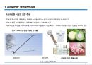아토피시장분석 및 웰빙시장 세분화 5페이지