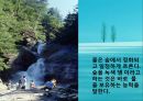 수질오염(하천오염, 용존산소, 부영양화, 해양오염, 유류오염, 지하수오염, 수질오염방지) PPT, 파워포인트 5페이지