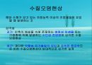 수질오염(하천오염, 용존산소, 부영양화, 해양오염, 유류오염, 지하수오염, 수질오염방지) PPT, 파워포인트 7페이지
