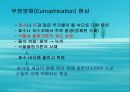 수질오염(하천오염, 용존산소, 부영양화, 해양오염, 유류오염, 지하수오염, 수질오염방지) PPT, 파워포인트 19페이지