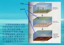 수질오염(하천오염, 용존산소, 부영양화, 해양오염, 유류오염, 지하수오염, 수질오염방지) PPT, 파워포인트 20페이지