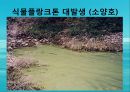 수질오염(하천오염, 용존산소, 부영양화, 해양오염, 유류오염, 지하수오염, 수질오염방지) PPT, 파워포인트 22페이지