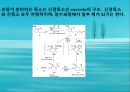 수질오염(하천오염, 용존산소, 부영양화, 해양오염, 유류오염, 지하수오염, 수질오염방지) PPT, 파워포인트 27페이지