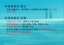수질오염(하천오염, 용존산소, 부영양화, 해양오염, 유류오염, 지하수오염, 수질오염방지) PPT, 파워포인트 28페이지