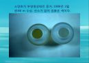 수질오염(하천오염, 용존산소, 부영양화, 해양오염, 유류오염, 지하수오염, 수질오염방지) PPT, 파워포인트 35페이지