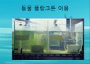 수질오염(하천오염, 용존산소, 부영양화, 해양오염, 유류오염, 지하수오염, 수질오염방지) PPT, 파워포인트 38페이지