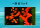 수질오염(하천오염, 용존산소, 부영양화, 해양오염, 유류오염, 지하수오염, 수질오염방지) PPT, 파워포인트 39페이지