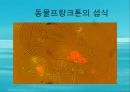수질오염(하천오염, 용존산소, 부영양화, 해양오염, 유류오염, 지하수오염, 수질오염방지) PPT, 파워포인트 40페이지