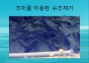 수질오염(하천오염, 용존산소, 부영양화, 해양오염, 유류오염, 지하수오염, 수질오염방지) PPT, 파워포인트 41페이지