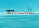 수질오염(하천오염, 용존산소, 부영양화, 해양오염, 유류오염, 지하수오염, 수질오염방지) PPT, 파워포인트 43페이지