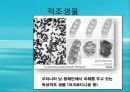 수질오염(하천오염, 용존산소, 부영양화, 해양오염, 유류오염, 지하수오염, 수질오염방지) PPT, 파워포인트 47페이지