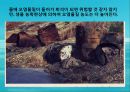 수질오염(하천오염, 용존산소, 부영양화, 해양오염, 유류오염, 지하수오염, 수질오염방지) PPT, 파워포인트 59페이지