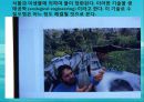 수질오염(하천오염, 용존산소, 부영양화, 해양오염, 유류오염, 지하수오염, 수질오염방지) PPT, 파워포인트 73페이지
