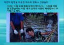 수질오염(하천오염, 용존산소, 부영양화, 해양오염, 유류오염, 지하수오염, 수질오염방지) PPT, 파워포인트 74페이지