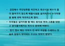 수질오염(하천오염, 용존산소, 부영양화, 해양오염, 유류오염, 지하수오염, 수질오염방지) PPT, 파워포인트 78페이지