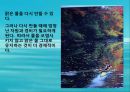 수질오염(하천오염, 용존산소, 부영양화, 해양오염, 유류오염, 지하수오염, 수질오염방지) PPT, 파워포인트 80페이지