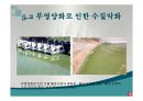 우리나라의 호수(수자원, 호수의분류, 특징, 댐이필요한이유, 우리나라의인공호, 문제점과해결방법) PPT, 파워포인트 41페이지