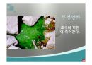 우리나라의 호수(수자원, 호수의분류, 특징, 댐이필요한이유, 우리나라의인공호, 문제점과해결방법) PPT, 파워포인트 42페이지