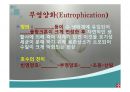 우리나라의 호수(수자원, 호수의분류, 특징, 댐이필요한이유, 우리나라의인공호, 문제점과해결방법) PPT, 파워포인트 47페이지