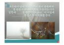 우리나라의 호수(수자원, 호수의분류, 특징, 댐이필요한이유, 우리나라의인공호, 문제점과해결방법) PPT, 파워포인트 62페이지