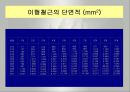 철근콘크리트공학(압축강도, 탄성계수, 인장강도, 슬럼프, 크리프, 이형철근, 원형철근) 32페이지