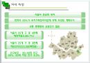 [지역사회조사] 송파구 잠실본동  4페이지
