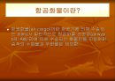 항공 화물운송 5페이지
