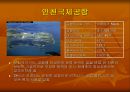 항공 화물운송 44페이지