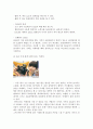 후기 디지털 시대 17페이지