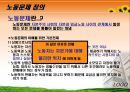 노동문제 비정규직 노동자  3페이지