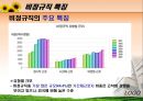 노동문제 비정규직 노동자  11페이지
